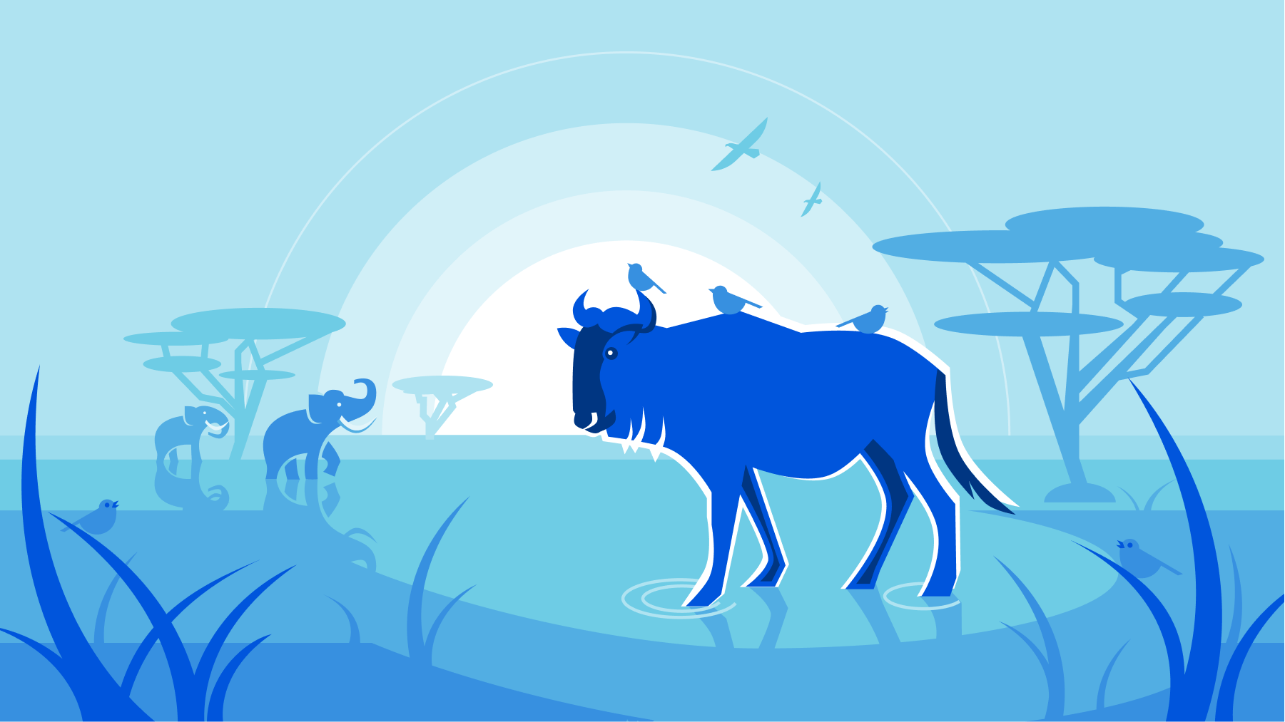 Cloudflare 화면 4