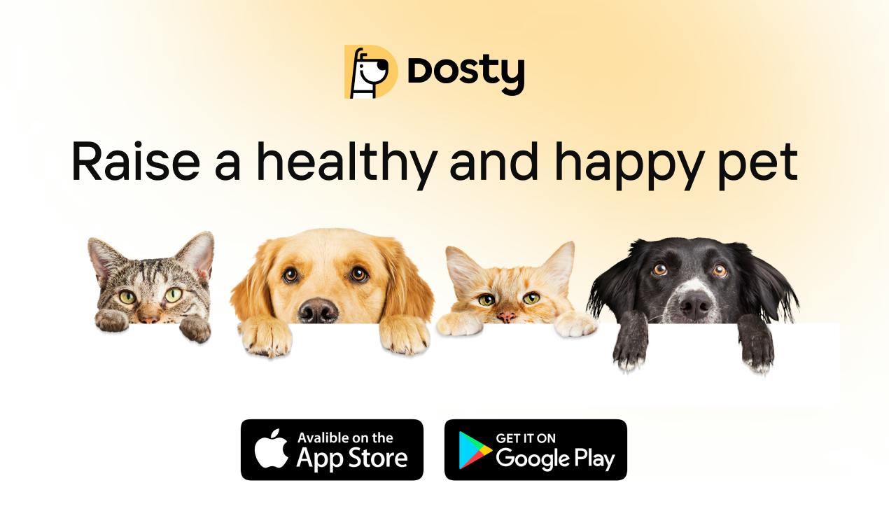 Dosty Petcare 화면 1